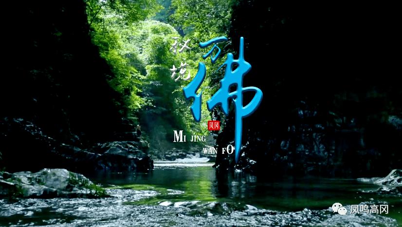 探索联想拯救者和惠普暗影精灵哪个好点,解锁智慧之门