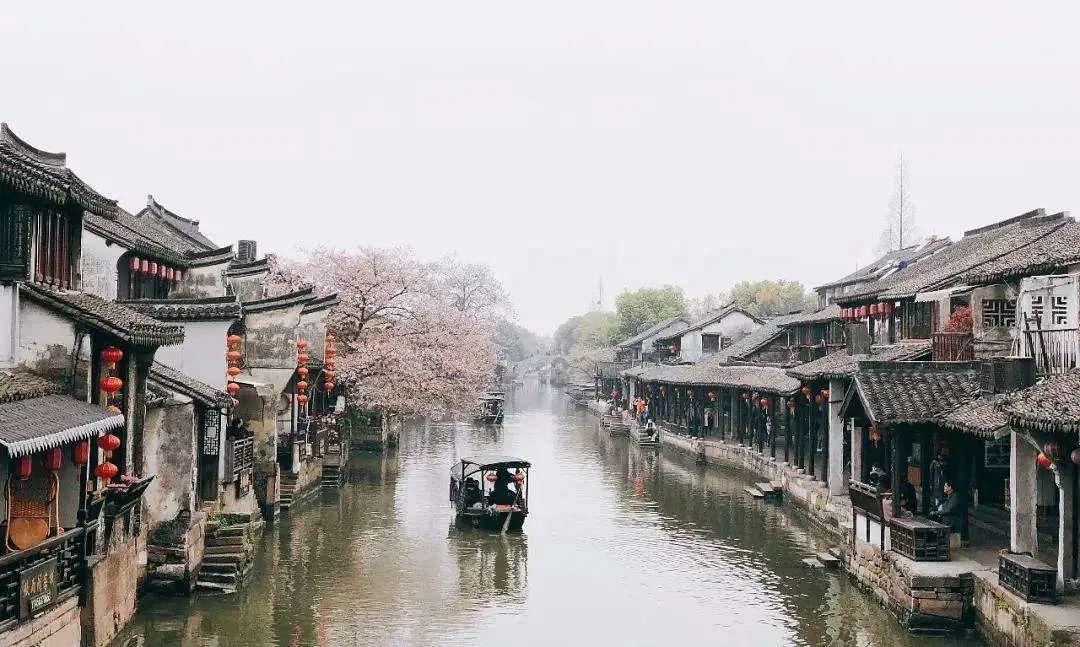 狗的记忆力有多久时间?-最新热门话题讨论社区